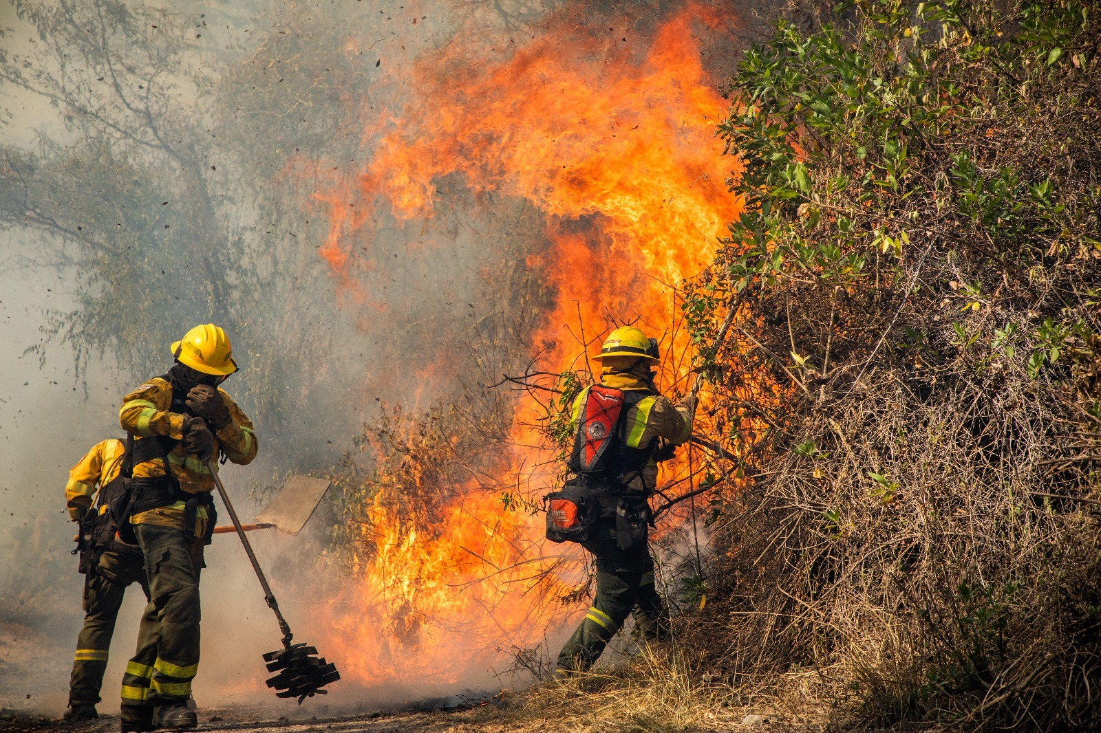 Peru denies Bolivia help to control forest fires