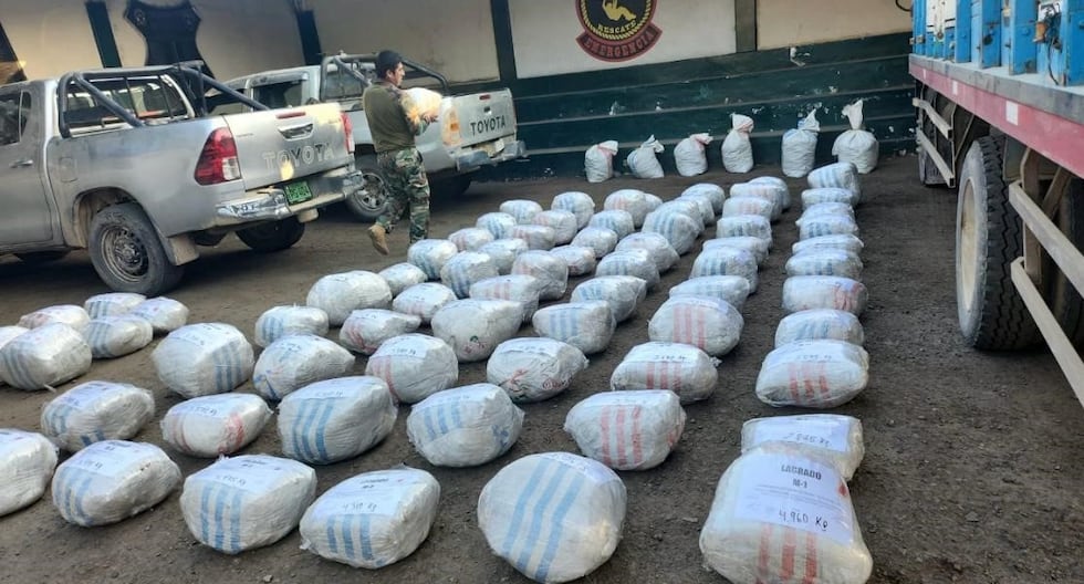 Piura: A ton of cocaine that was going to be sent to Belgium is seized