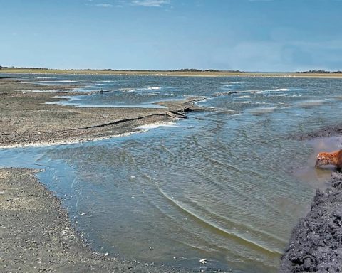 Piura: Thousands of people are affected by the reduction of water in the Ñapique lagoon