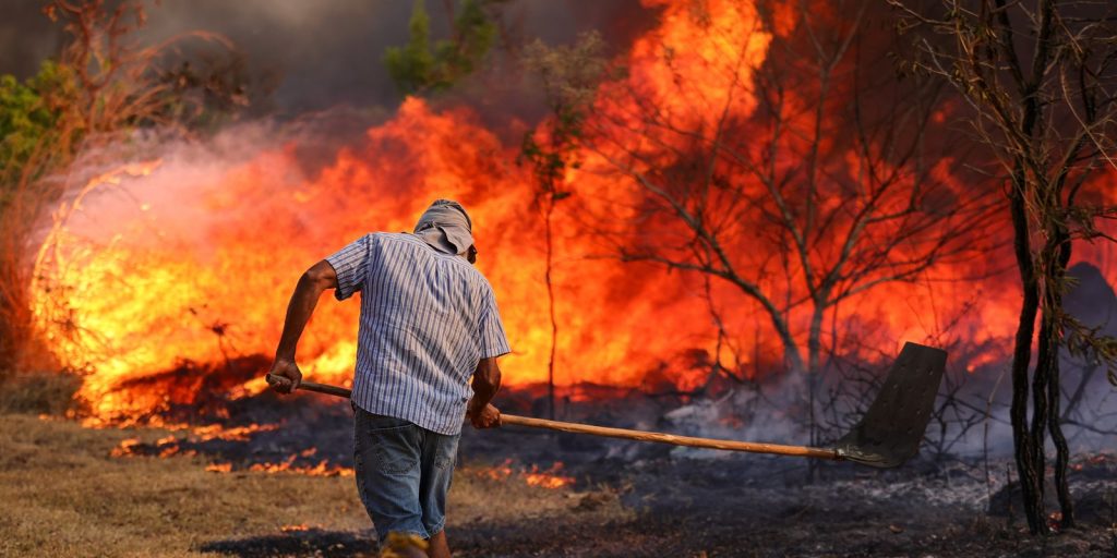 President Lula meets with ministers to discuss combating forest fires