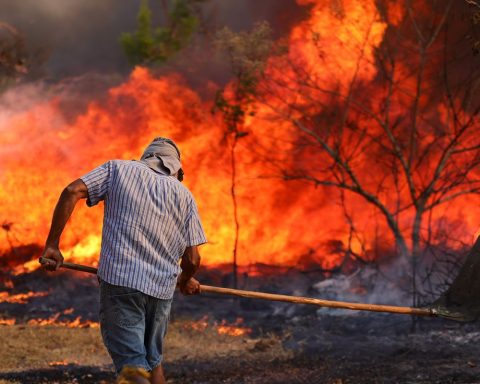 President Lula meets with ministers to discuss combating forest fires