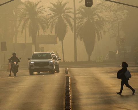 Protest in SP calls for measures to mitigate the climate emergency