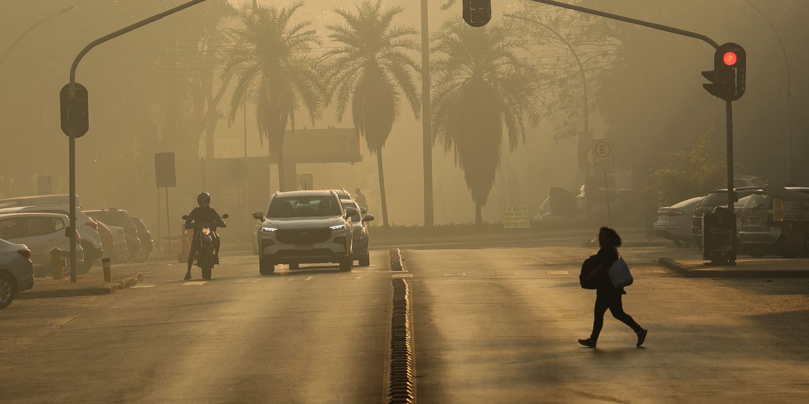 Protest in SP calls for measures to mitigate the climate emergency