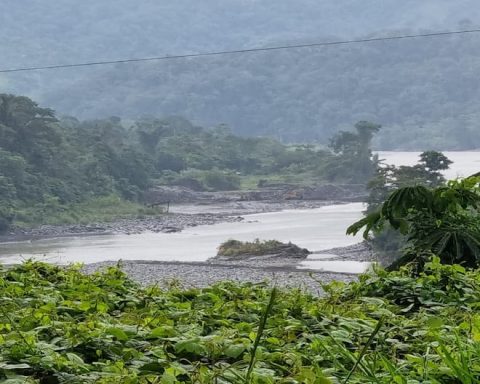 Puno: Marisol Gonzales sentenced to 8 years in prison for polluting a river in the district of San Gabán