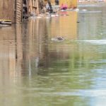 Rain and flooding hit part of Rio Grande do Sul