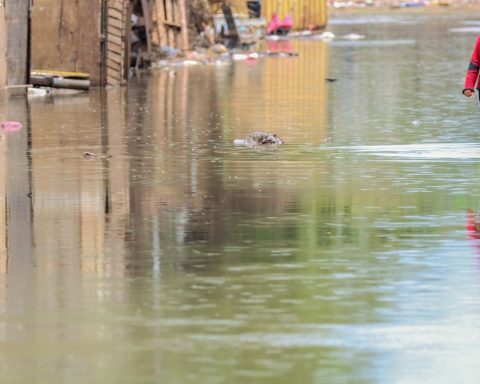 Rain and flooding hit part of Rio Grande do Sul