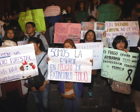 Read the messages from Cusco residents against those who cause forest fires (GALLERY)