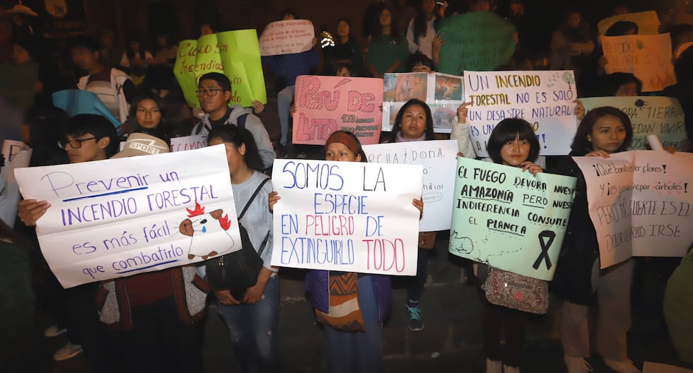 Read the messages from Cusco residents against those who cause forest fires (GALLERY)