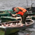 cubanet-cuba-pescado