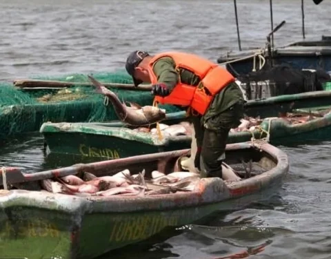 cubanet-cuba-pescado