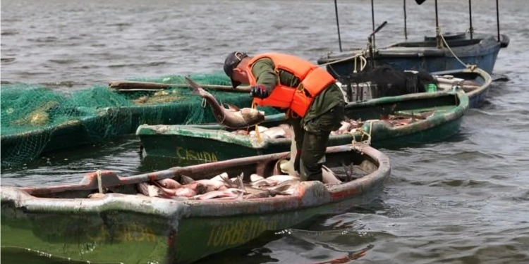 cubanet-cuba-pescado