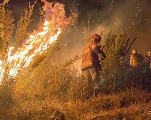 Rio de Janeiro has the highest number of fires since 2017