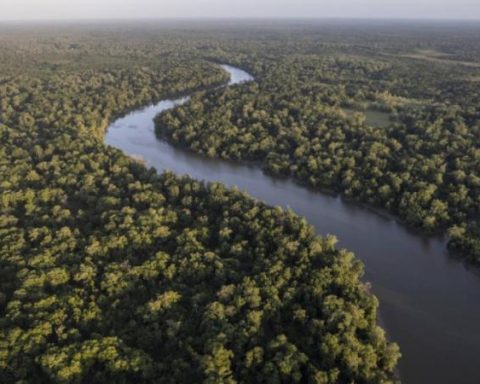 Section of the Amazon River in Colombia was 90% drained due to drought