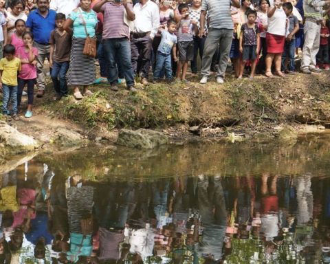 Sembrando Vida fails to lift the most vulnerable farmers out of extreme poverty