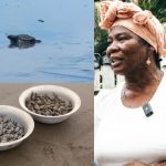 "She gives her life to take care of the baby turtles": the tireless fight of Orfiria and her foundation in Bahía Solano