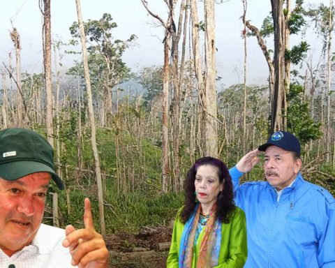 Steadman Fagot, the enemy of Sandinismo, turned ally and now kidnapped by his boss Daniel Ortega