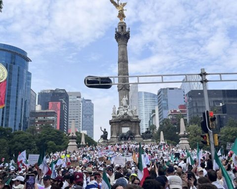 Students and workers of the PJ march against judicial reform