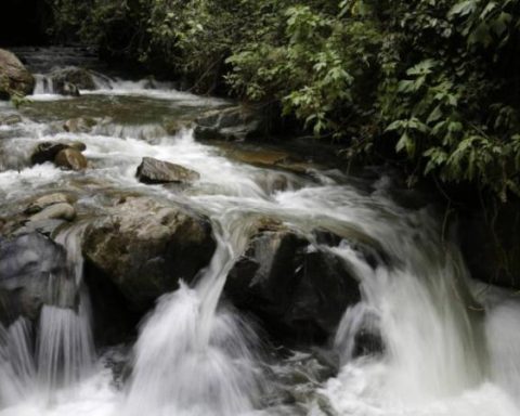 The Government's plan to stop illegal mining in Los Farallones, Cali