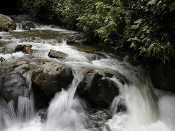 The Government's plan to stop illegal mining in Los Farallones, Cali