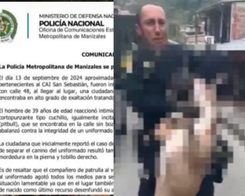 La Policía Nacional aclaró por qué disparó a un perro pitbull en medio de un operativo en Manizales