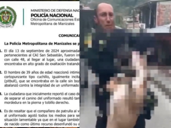 La Policía Nacional aclaró por qué disparó a un perro pitbull en medio de un operativo en Manizales