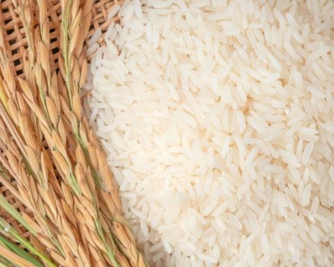 "The country can count on rice!": National inventory exceeds five million quintals