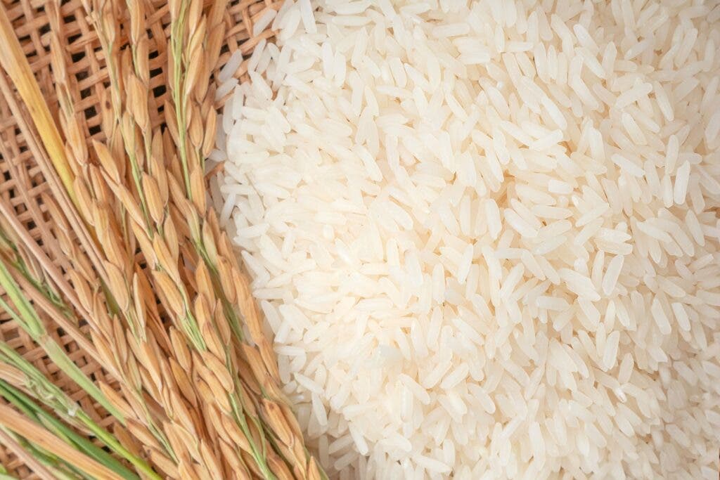 "The country can count on rice!": National inventory exceeds five million quintals