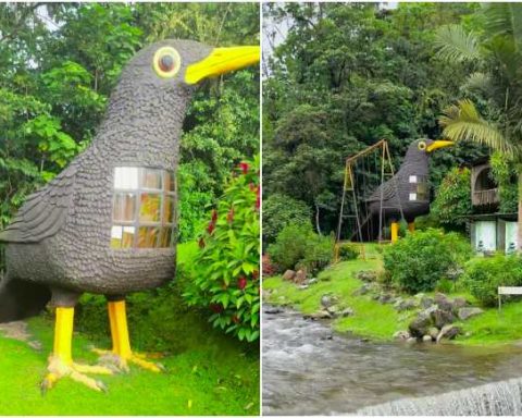 The giant bird where you can stay and sleep inside: it's close to a famous tourist attraction