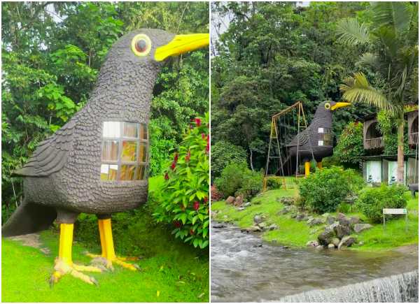 The giant bird where you can stay and sleep inside: it's close to a famous tourist attraction