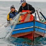 The lack of squid affects 22,100 artisanal fishermen in Piura