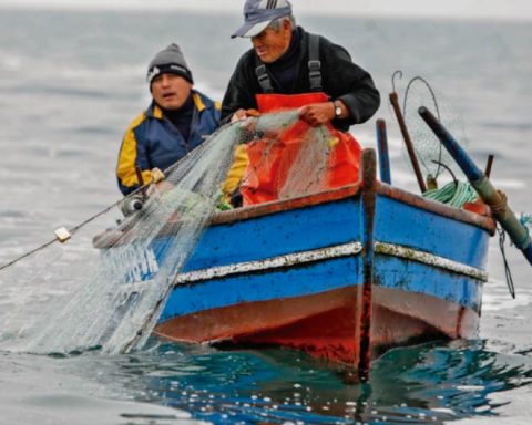 The lack of squid affects 22,100 artisanal fishermen in Piura