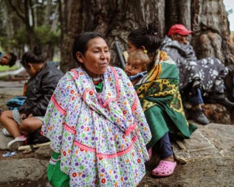 The phases that make up the return of the Emberá indigenous people from the National Park