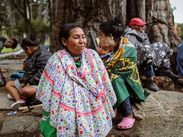 The phases that make up the return of the Emberá indigenous people from the National Park