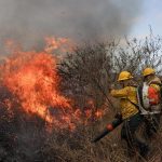 There are already 29 active forest fires in Colombia, according to UNGRD