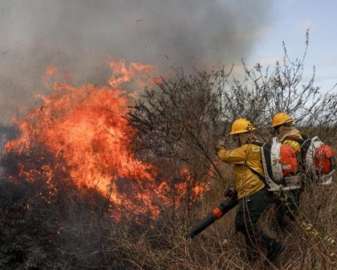 There are already 29 active forest fires in Colombia, according to UNGRD