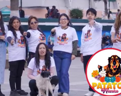 This is how the Patatón Wanka is experienced, an event that seeks to raise money for abandoned animals (VIDEO)