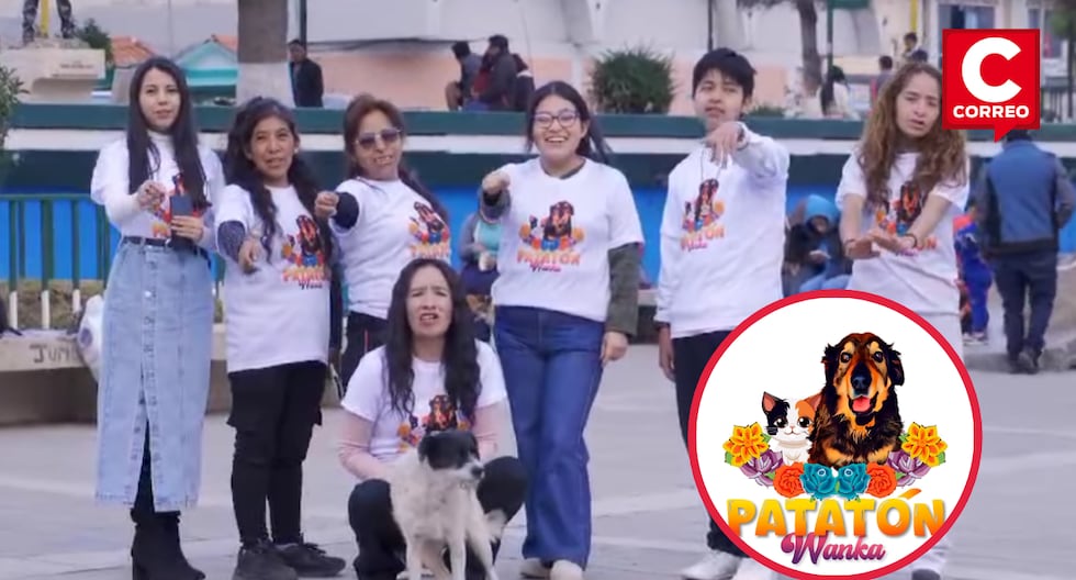 This is how the Patatón Wanka is experienced, an event that seeks to raise money for abandoned animals (VIDEO)