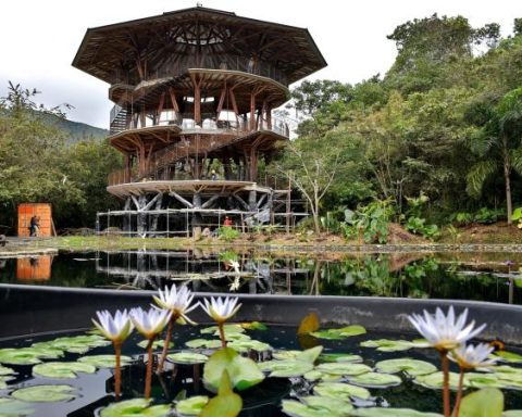 This is the place where Colombia takes care of its 'green gold'