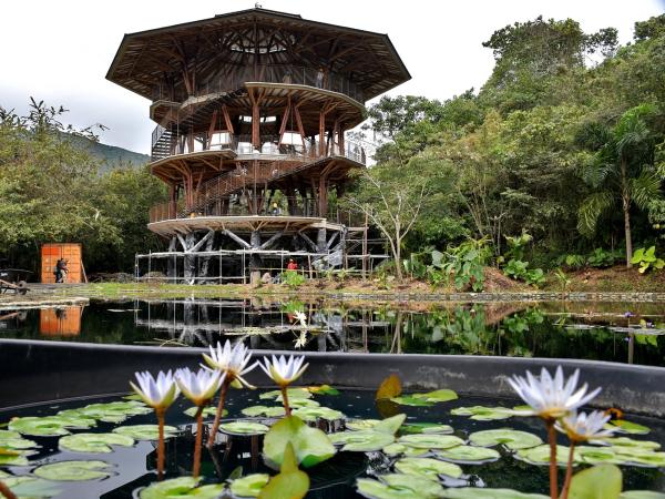 This is the place where Colombia takes care of its 'green gold'