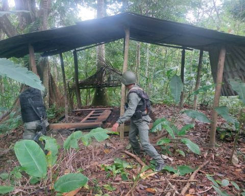 Three brothers are part of the Tren del Llano criminal cell