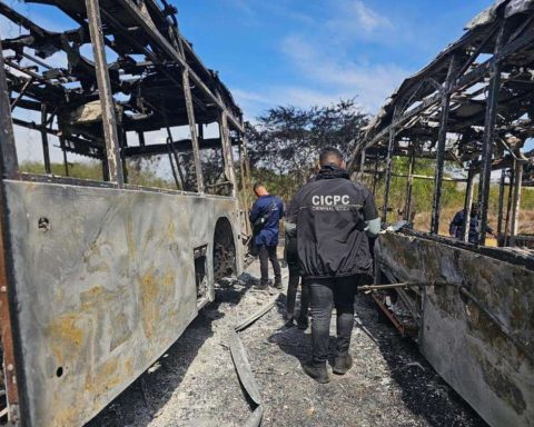 Three minors arrested for burning 11 buses