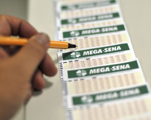 Timbaúba bet takes home R$81 million in Mega-Sena