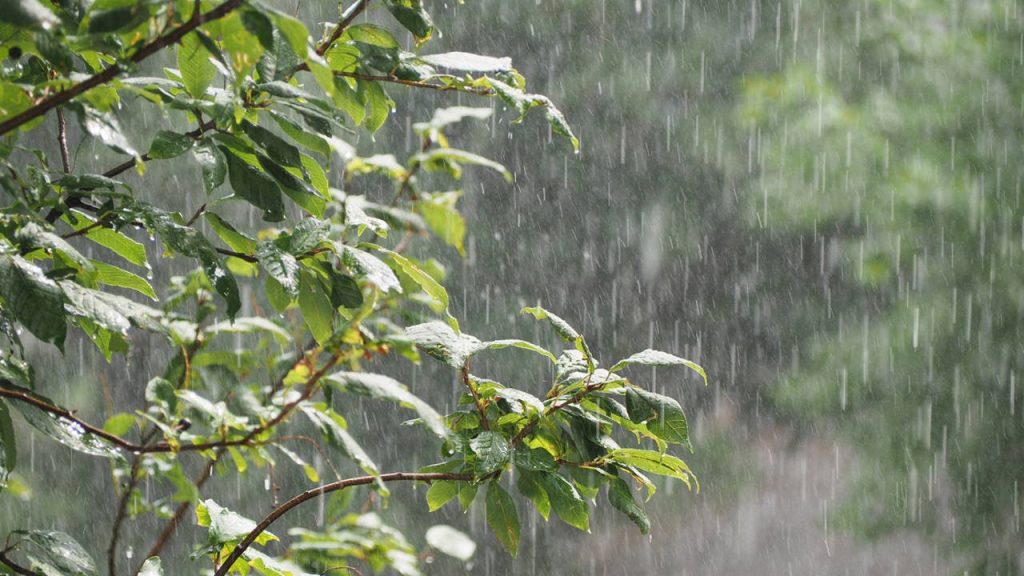 Vaguada provocará lluvias este lunes en varias zonas