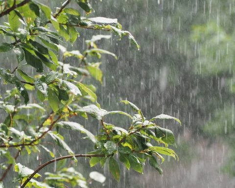 Vaguada provocará lluvias este lunes en varias zonas