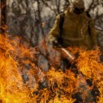 Understand the lines of investigation into forest fires in the country