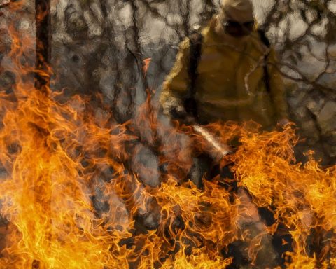 Understand the lines of investigation into forest fires in the country