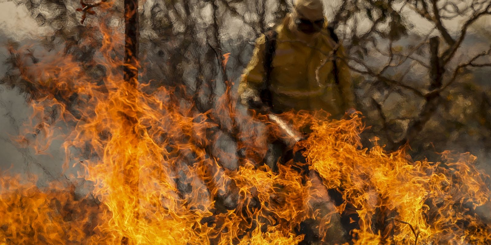 Understand the lines of investigation into forest fires in the country