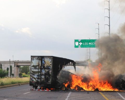 War between “Chapitos” and “Mayos” leaves 37 dead in Sinaloa