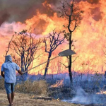 “We cannot watch from the sidelines”, there are more requests for a declaration of national disaster due to the magnitude of the fire