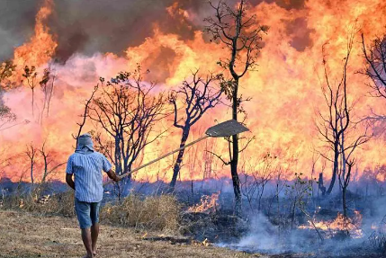 “We cannot watch from the sidelines”, there are more requests for a declaration of national disaster due to the magnitude of the fire